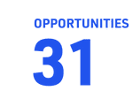 31 opportunities generated