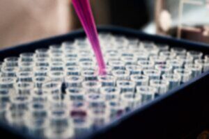 Pink solution being pipetted into a tray of test tubes