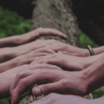 Hands holding a tree trunk