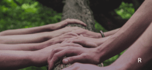 Hands holding a tree trunk