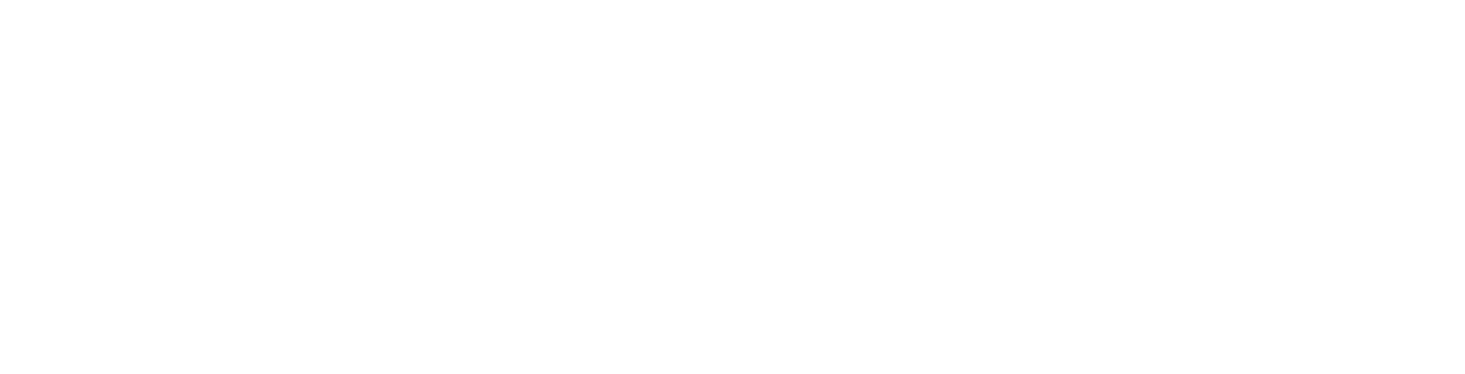 Roboyo Academy logo in white
